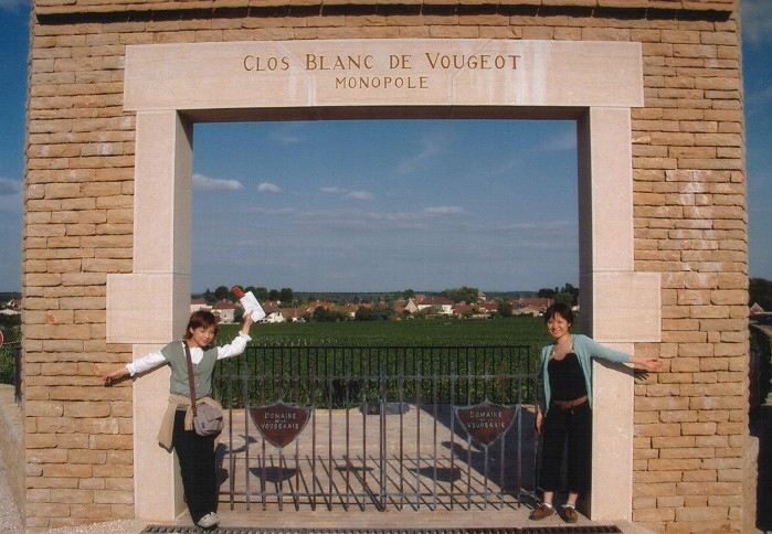 Clos de Vougeot entrée